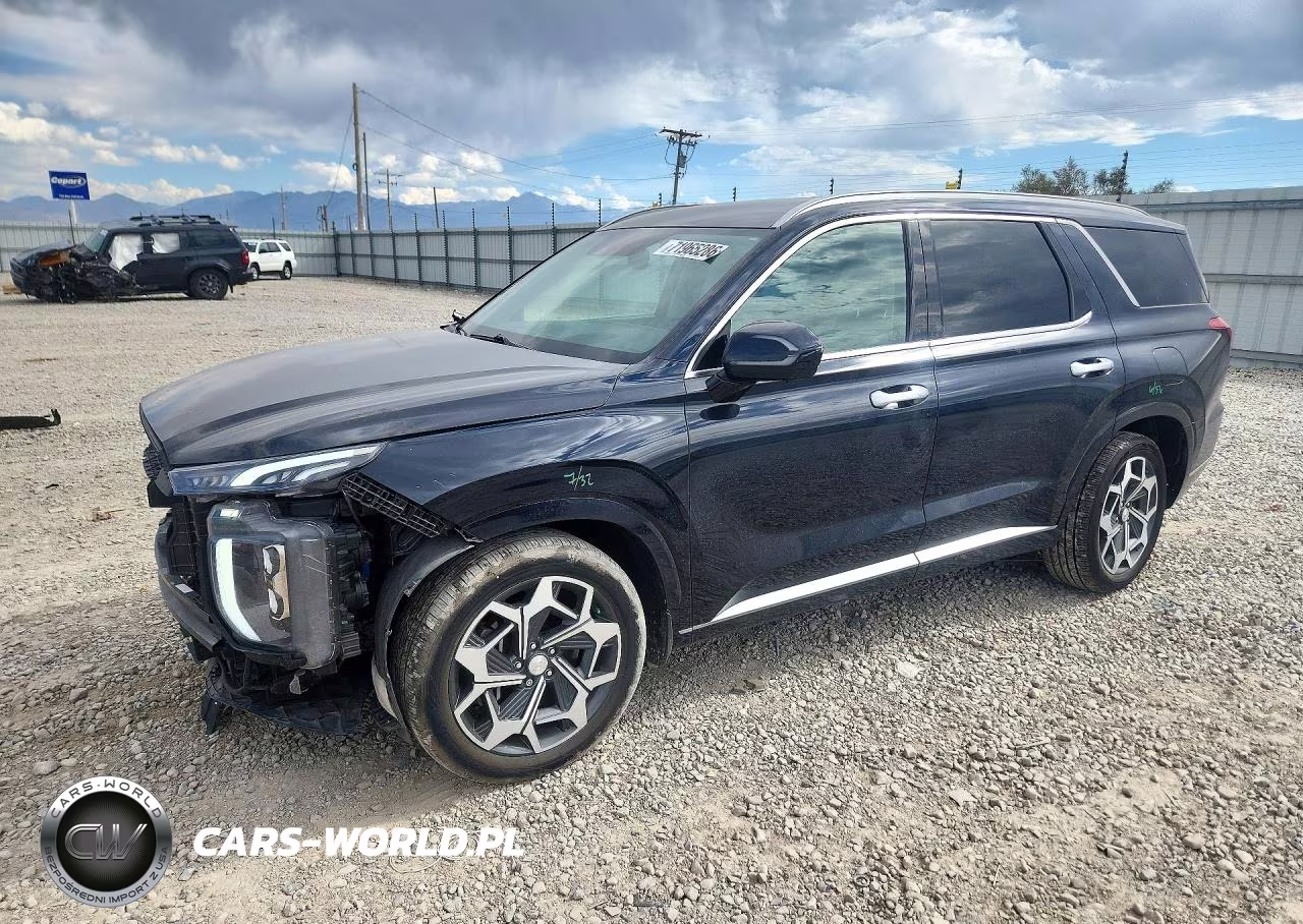 2021 Hyundai Palisade Calligraphy VIN:KM8R7DHE3MU298841 - 1