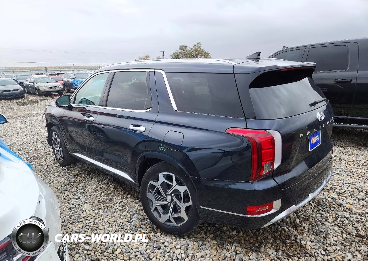 2021 Hyundai Palisade Calligraphy VIN:KM8R7DHE3MU298841 - 2