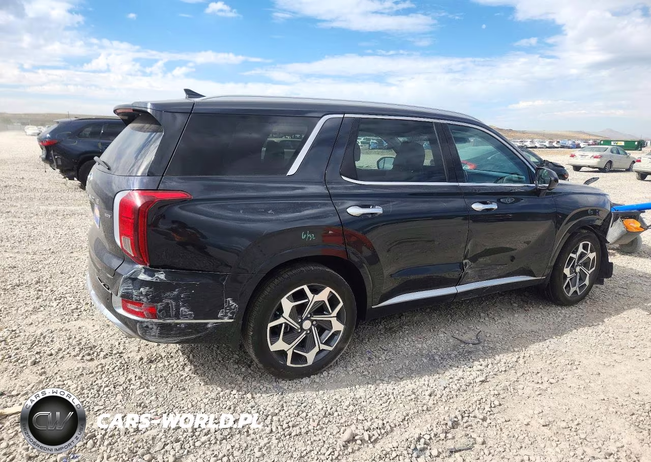 2021 Hyundai Palisade Calligraphy VIN:KM8R7DHE3MU298841 - 3