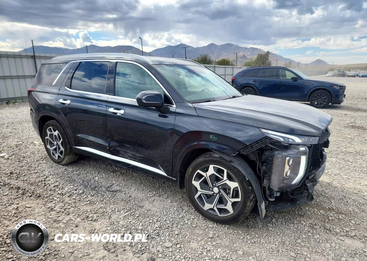 2021 Hyundai Palisade Calligraphy VIN:KM8R7DHE3MU298841 - 4