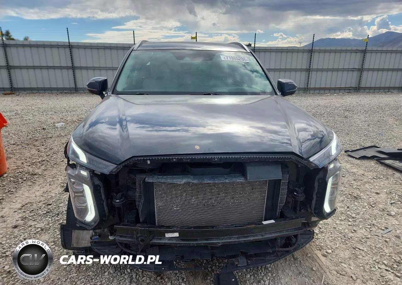 2021 Hyundai Palisade Calligraphy VIN:KM8R7DHE3MU298841 - 5