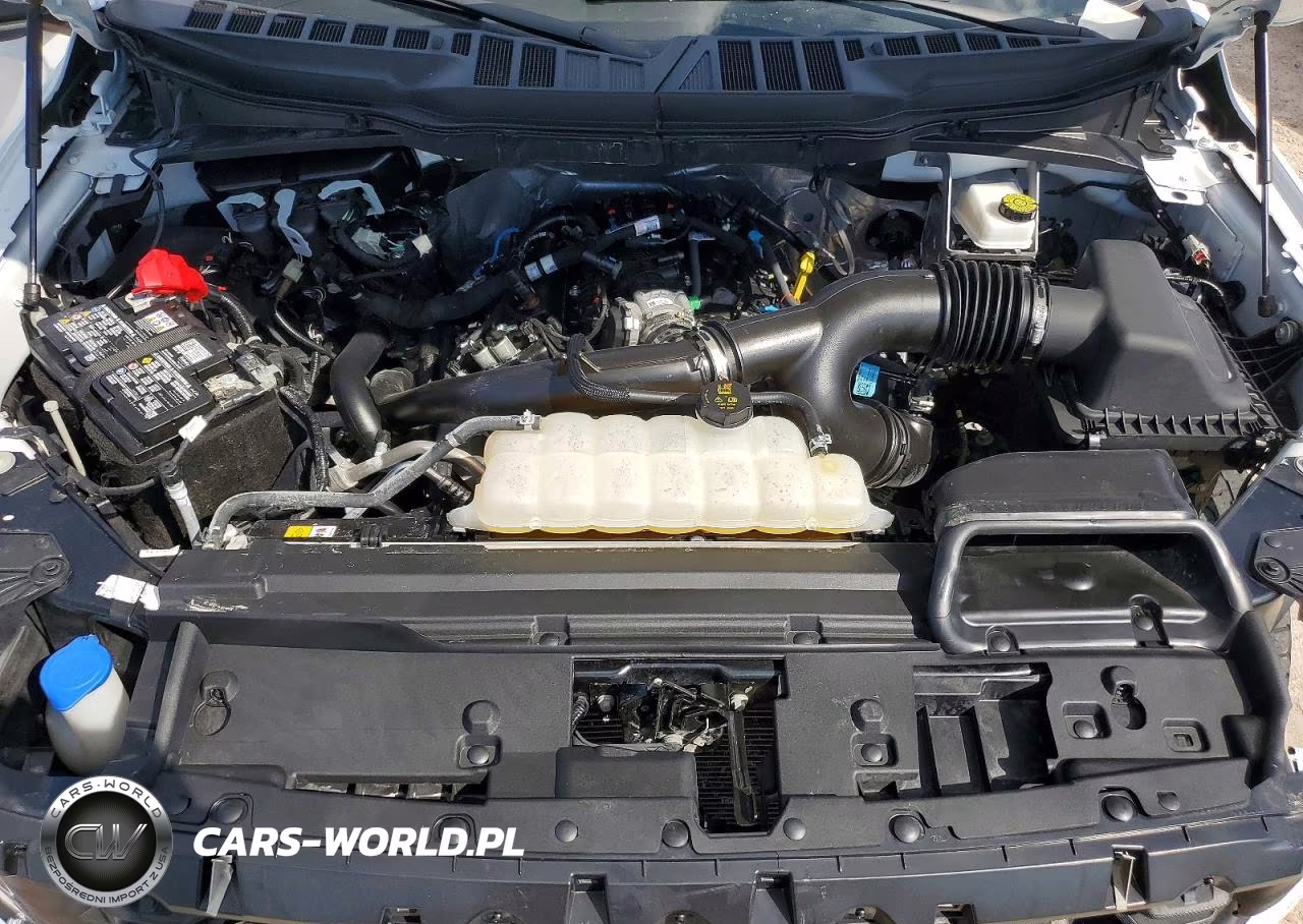2025 Ford F150 Stx VIN:1FTEW2KP3SKE30154 - 11