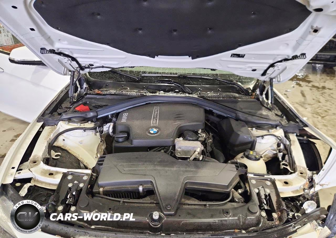 2016 BMW 320 I VIN:WBA8E1G53GNT36943 - 11