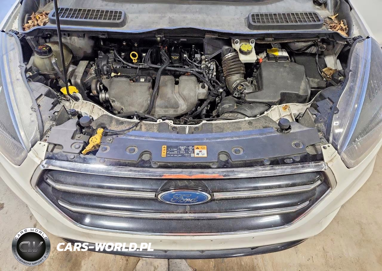 2017 Ford Escape Se VIN:1FMCU0G94HUE74488 - 12