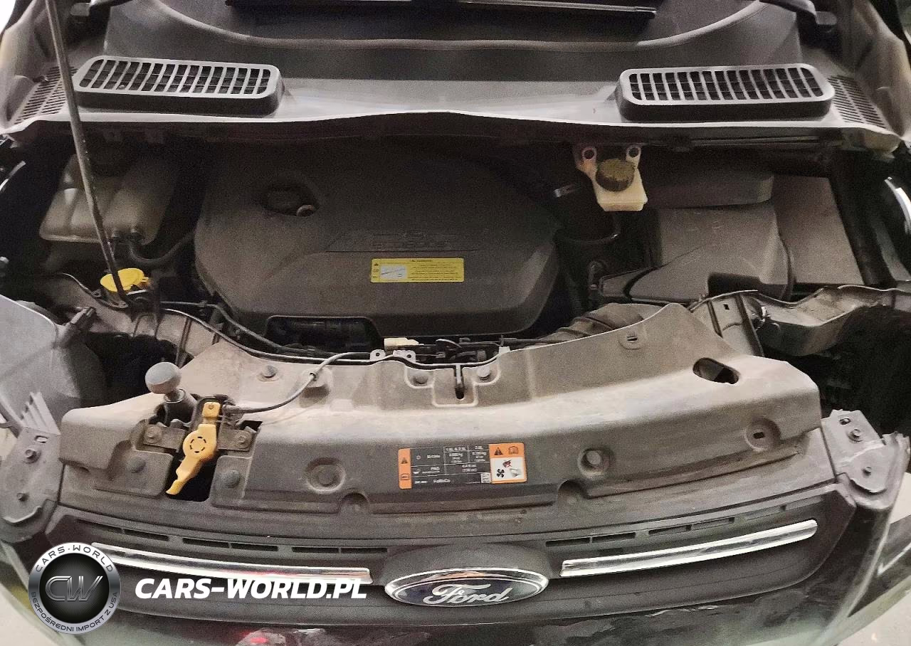 2014 Ford Escape Se VIN:1FMCU0GX3EUC70145 - 12