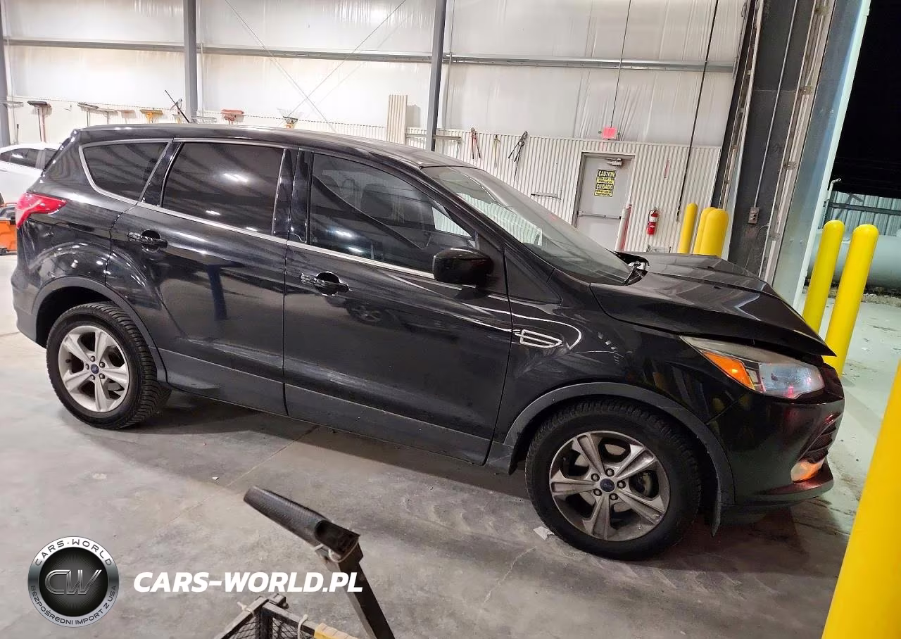 2014 Ford Escape Se VIN:1FMCU0GX3EUC70145 - 4