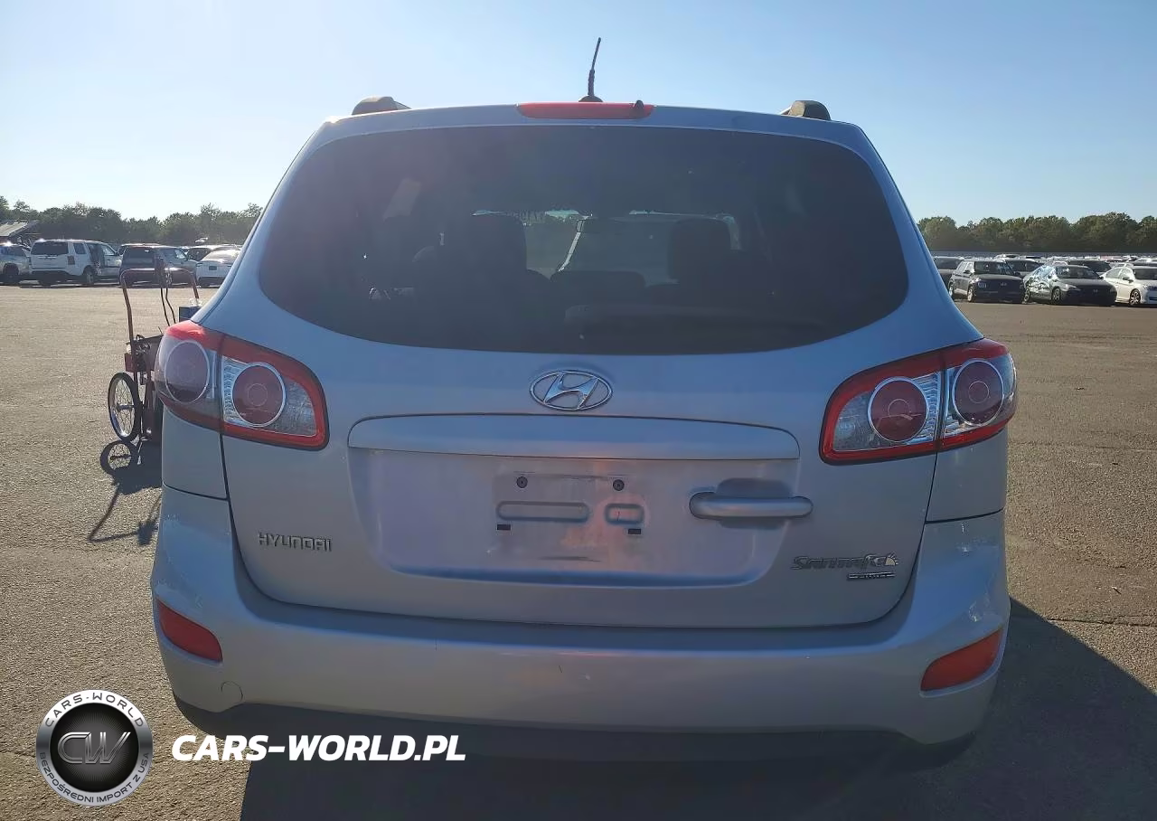 2010 Hyundai Santa Fe Gls VIN:5NMSGDAB5AH382667 - 6