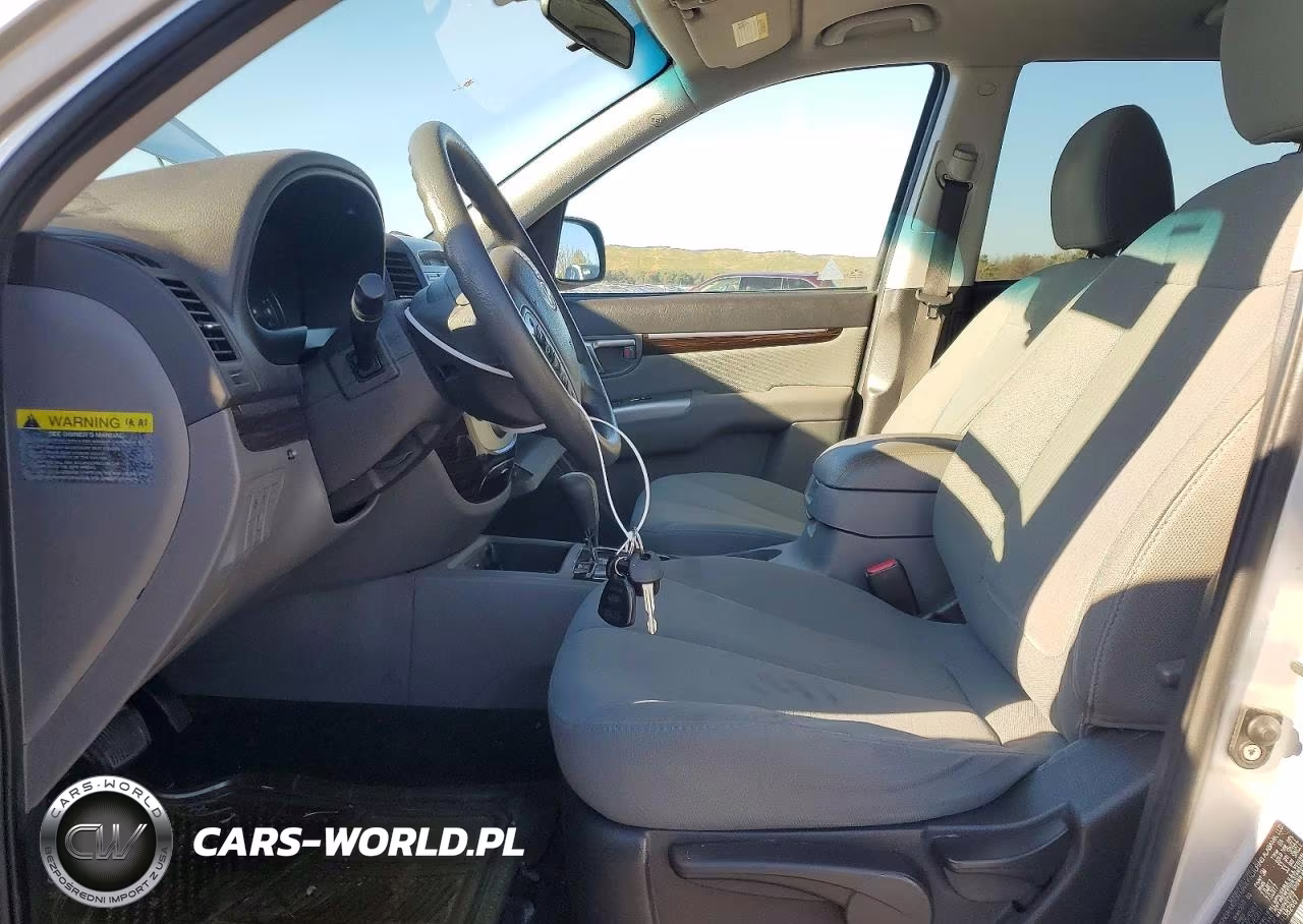 2010 Hyundai Santa Fe Gls VIN:5NMSGDAB5AH382667 - 7