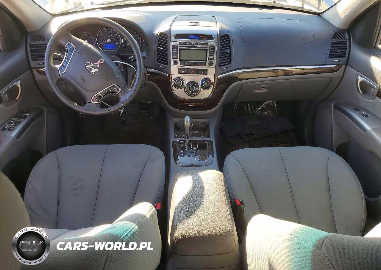 2010 Hyundai Santa Fe Gls VIN:5NMSGDAB5AH382667 - 8