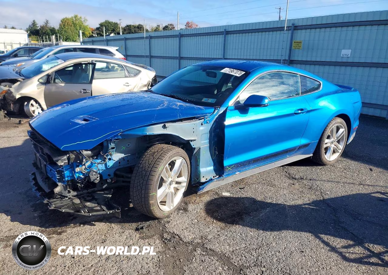 2019 Ford Mustang