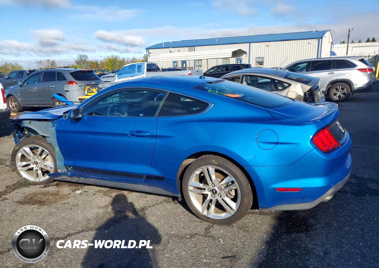 2019 Ford Mustang VIN:1FA6P8TH5K5191805 - 2