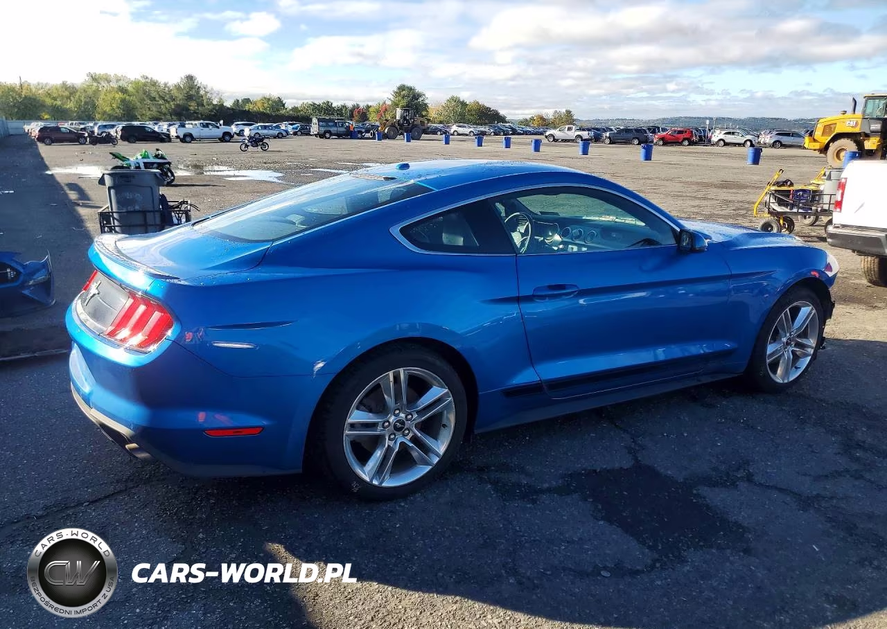 2019 Ford Mustang VIN:1FA6P8TH5K5191805 - 3