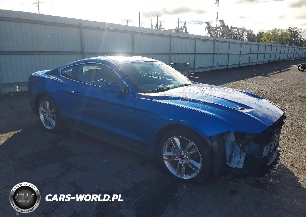 2019 Ford Mustang VIN:1FA6P8TH5K5191805 - 4