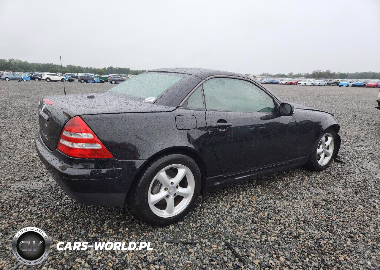2001 Mercedes-Benz Slk 320 VIN:WDBKK65F21F185555 - 3