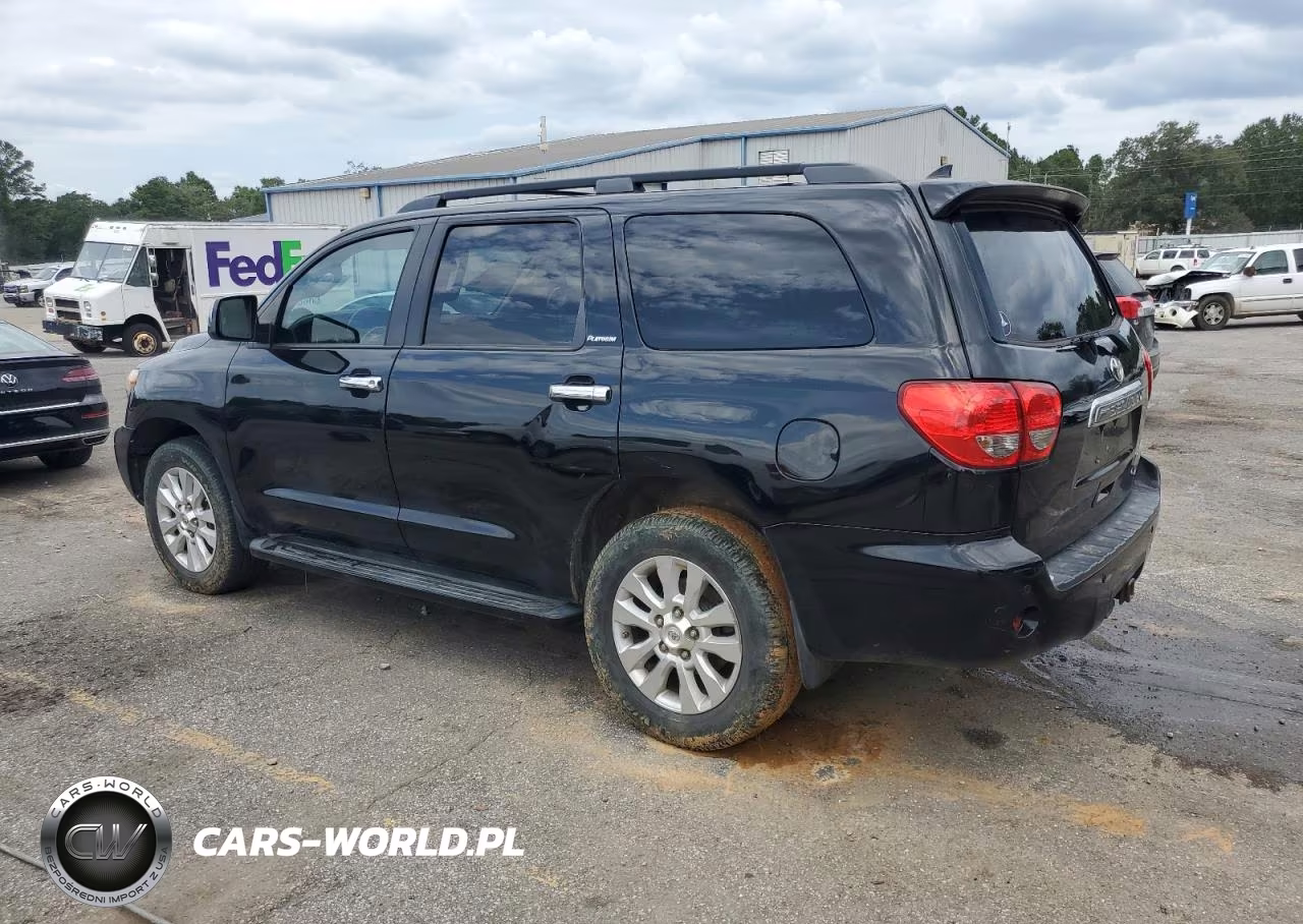 2011 Toyota Sequoia Platinum VIN:5TDDW5G12BS054573 - 2