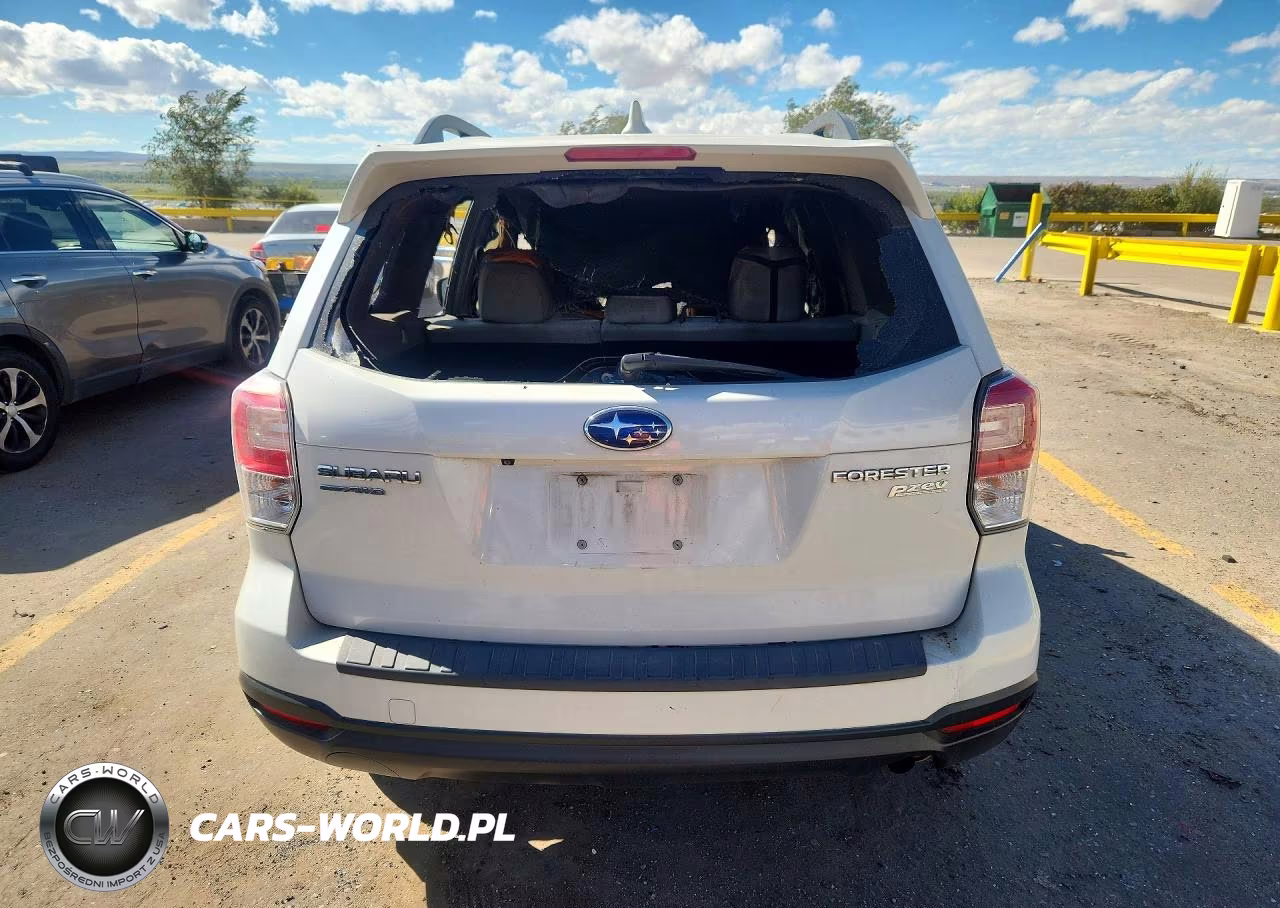 2017 Subaru Forester 2.5I Premium VIN:JF2SJAEC2HH506944 - 6