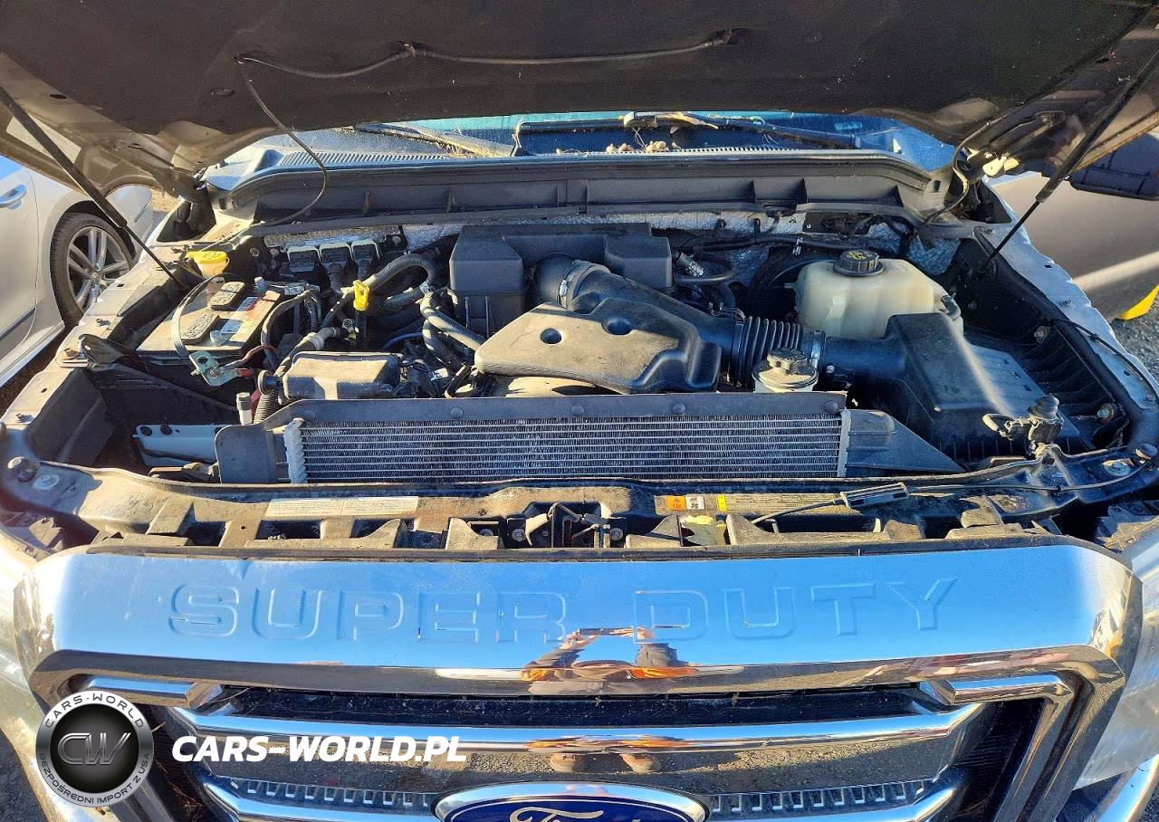 2012 Ford F250 Super Duty VIN:1FT7W2B65CEA04725 - 11