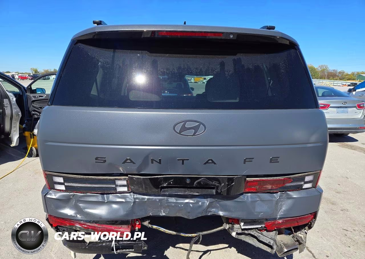 2025 Hyundai Santa Fe Calligraphy VIN:5NMP54GL4SH096998 - 6