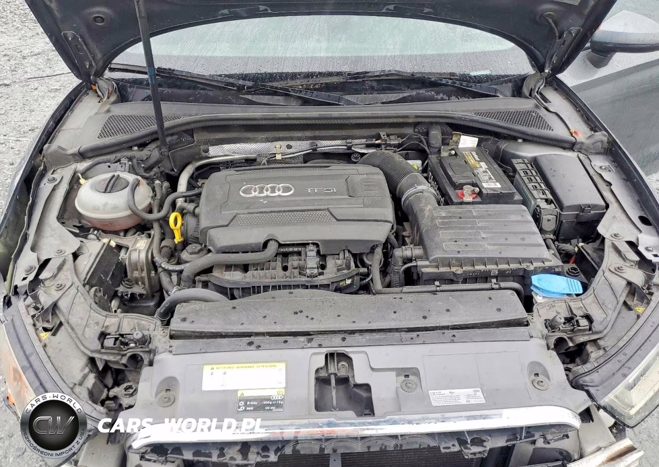 2016 Audi A3 Premium VIN:WAUA7GFFXG1008399 - 11