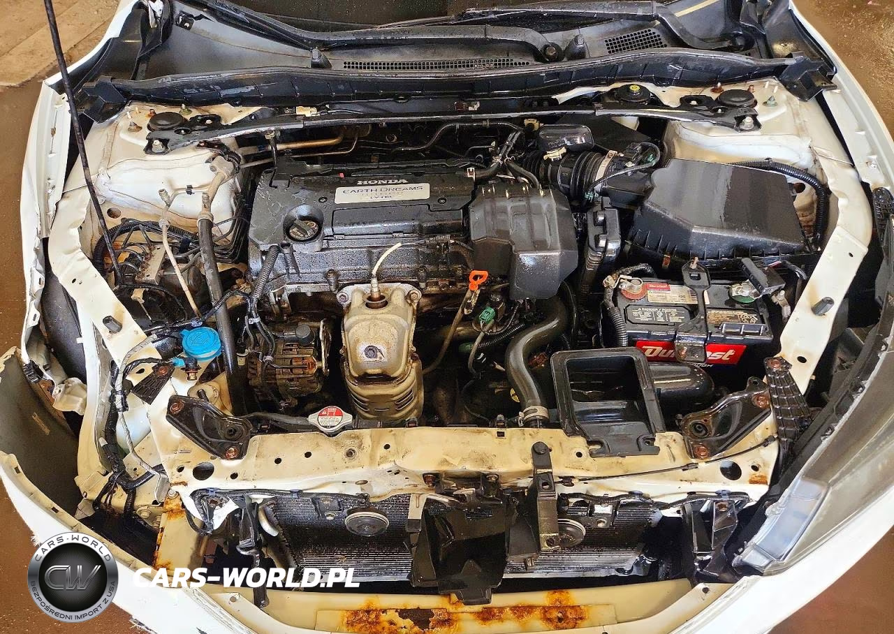 2013 Honda Accord Exl VIN:1HGCR2F83DA047956 - 11