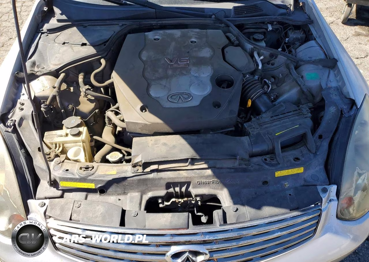 2004 Infiniti G35 Base VIN:JNKCV54E54M813610 - 11