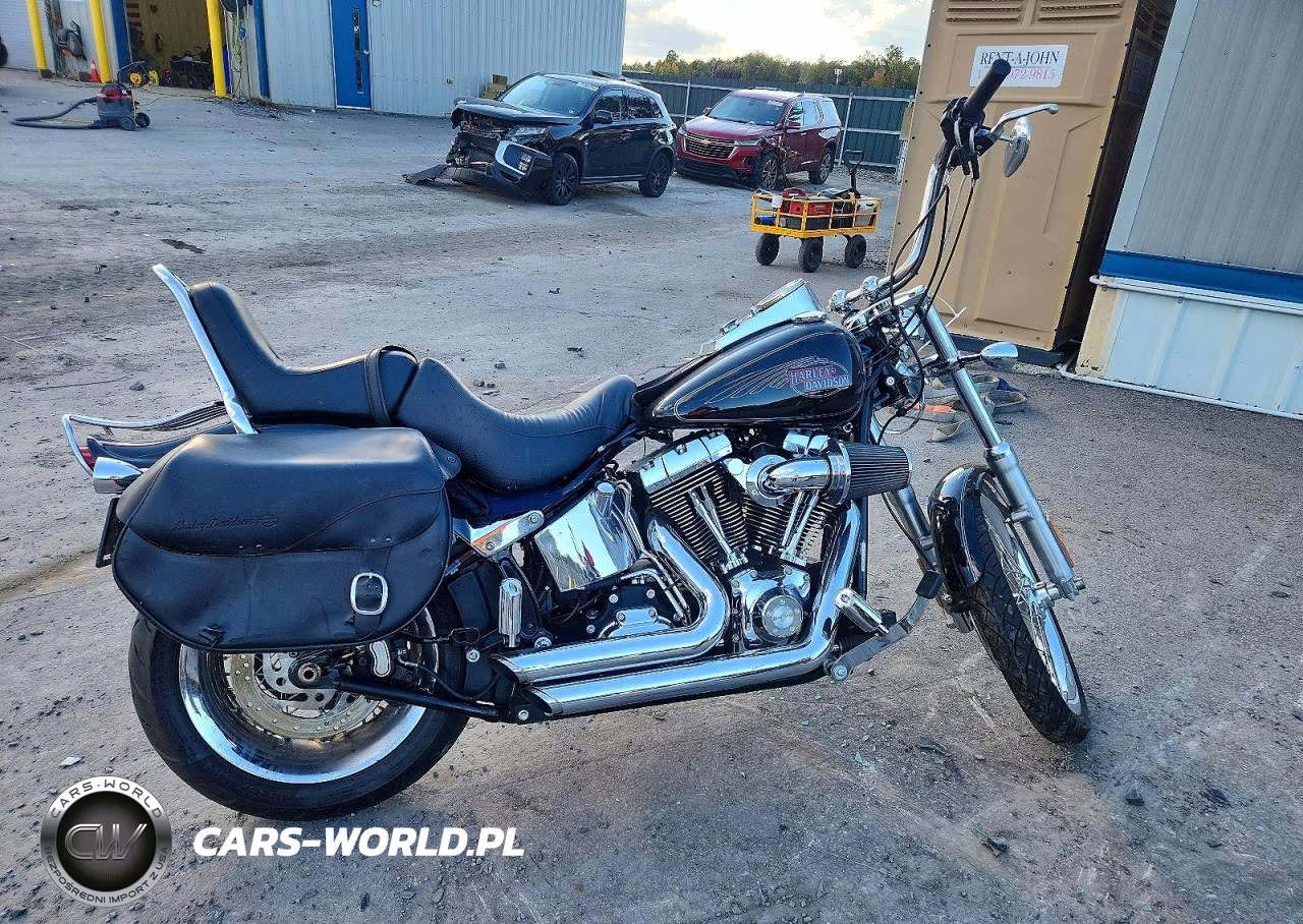 2009 Harley-Davidson Fxstc VIN:1HD1JL5119Y039164 - 1