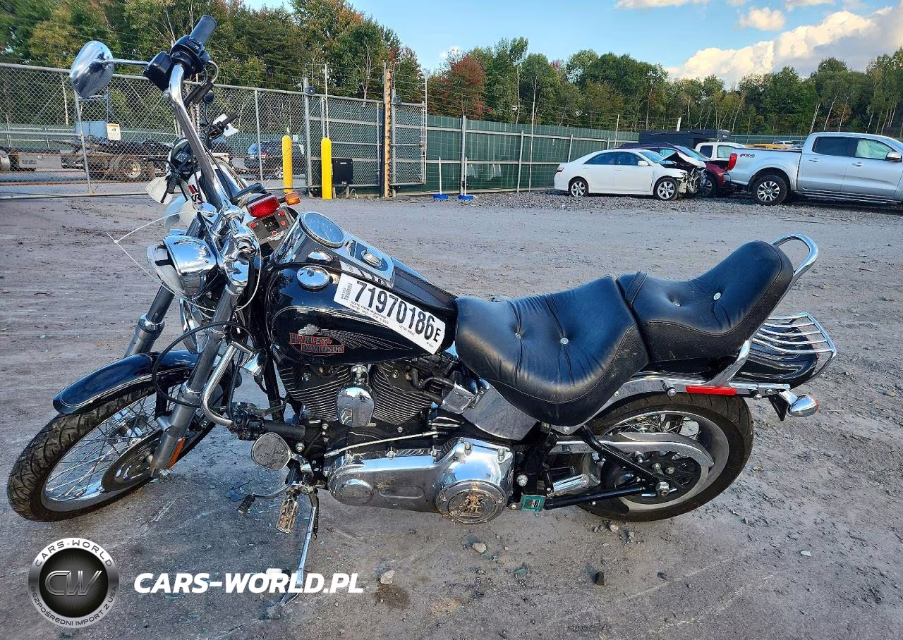 2009 Harley-Davidson Fxstc VIN:1HD1JL5119Y039164 - 3