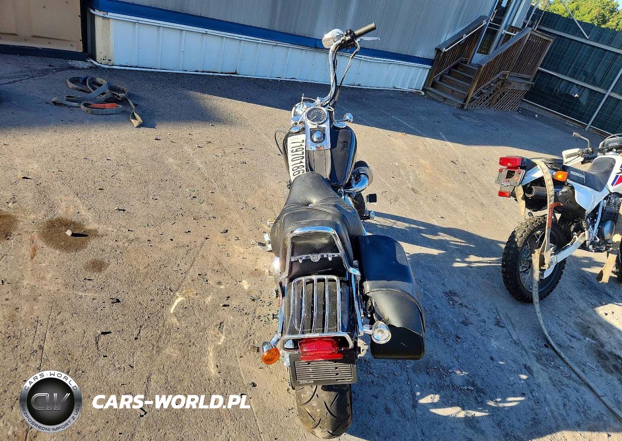 2009 Harley-Davidson Fxstc VIN:1HD1JL5119Y039164 - 6