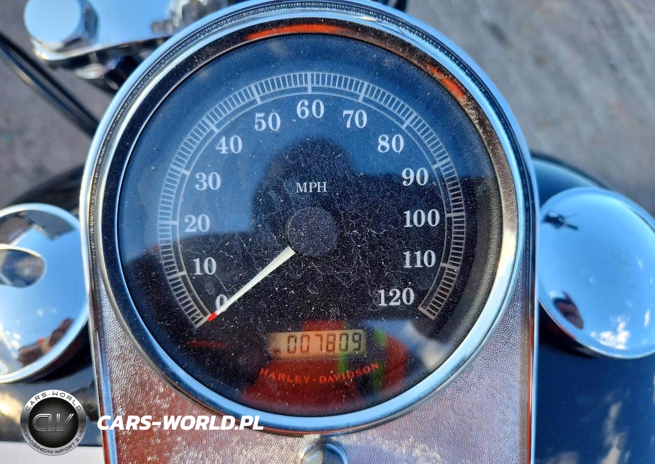 2009 Harley-Davidson Fxstc VIN:1HD1JL5119Y039164 - 7