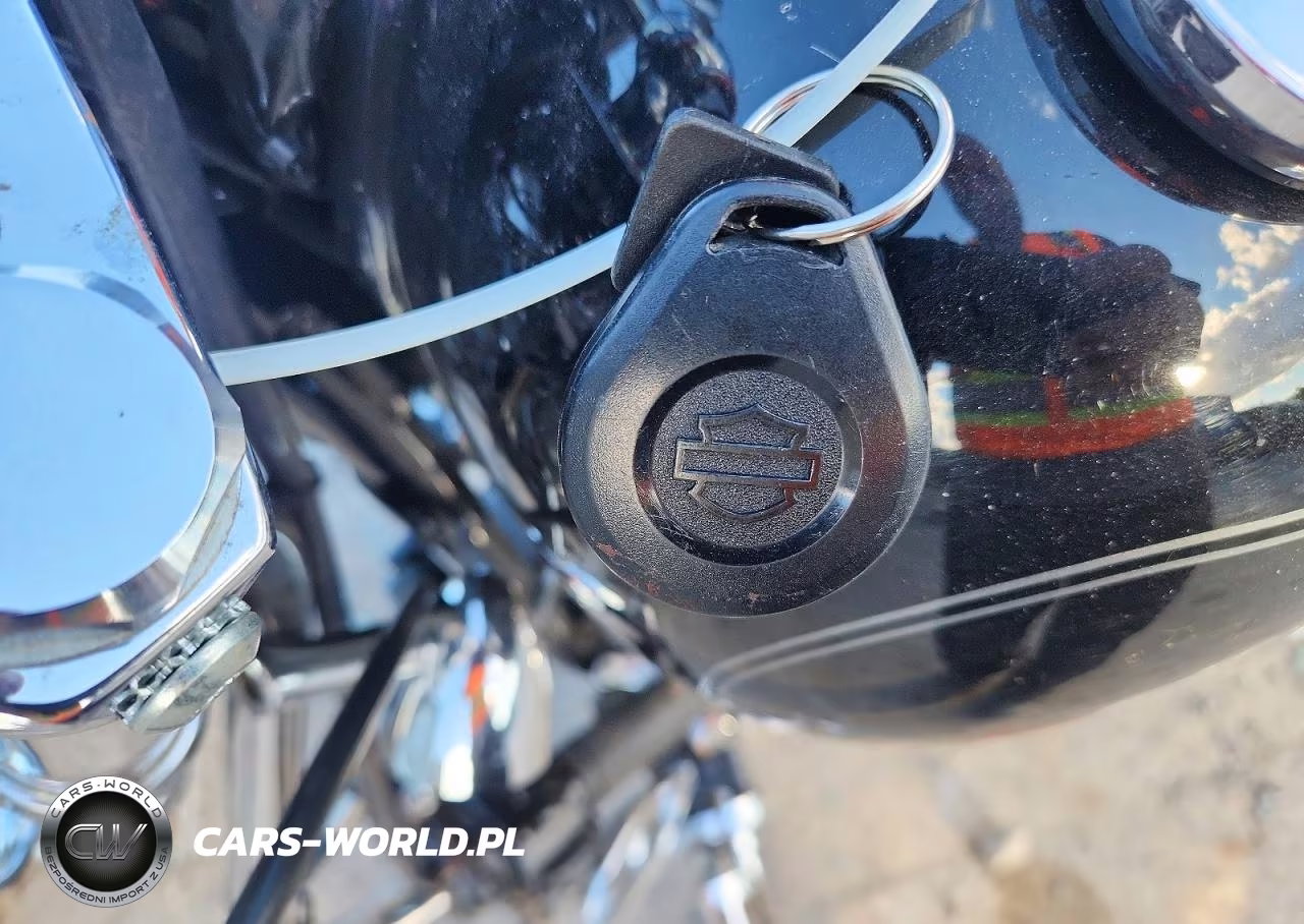 2009 Harley-Davidson Fxstc VIN:1HD1JL5119Y039164 - 8