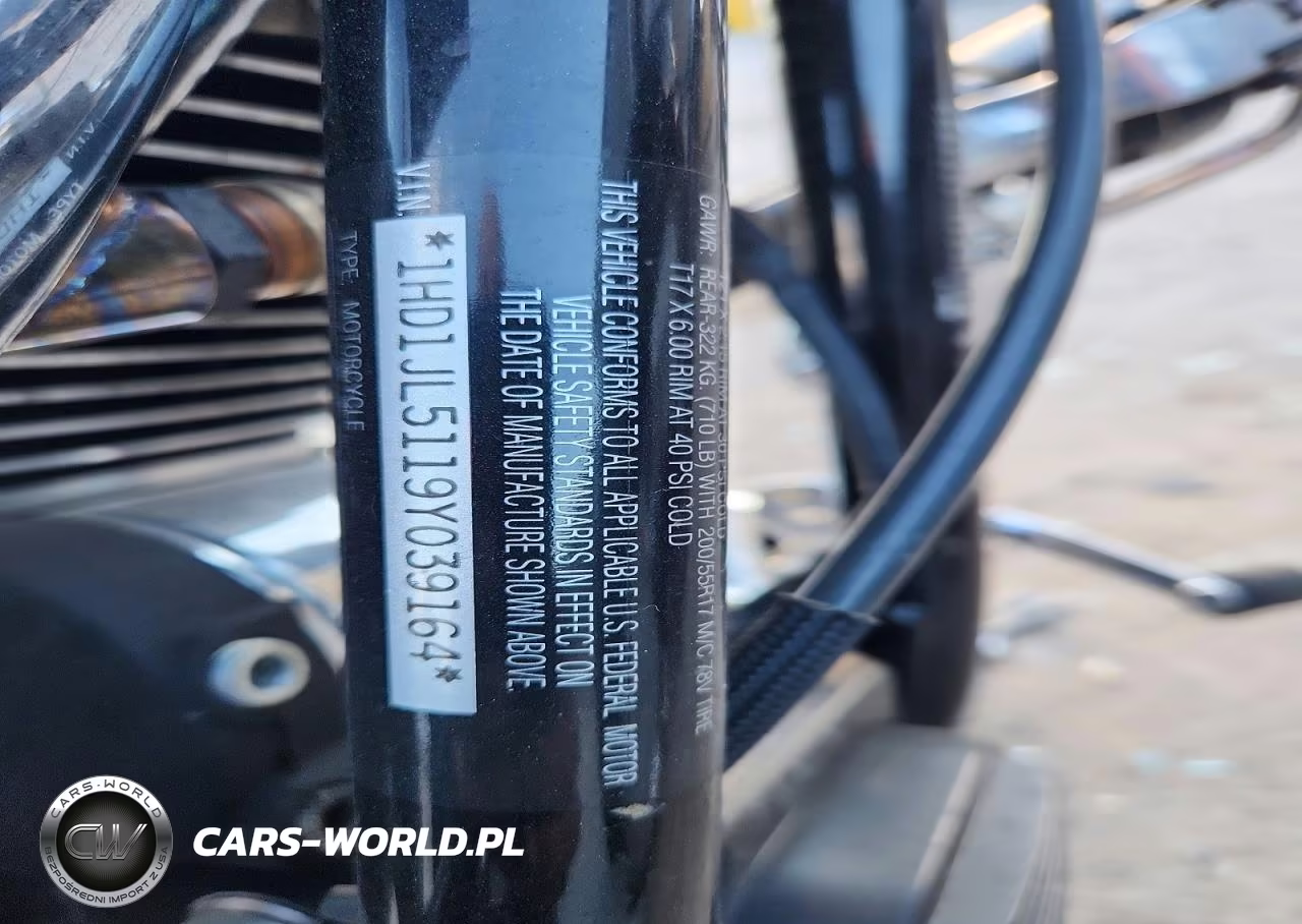 2009 Harley-Davidson Fxstc VIN:1HD1JL5119Y039164 - 9
