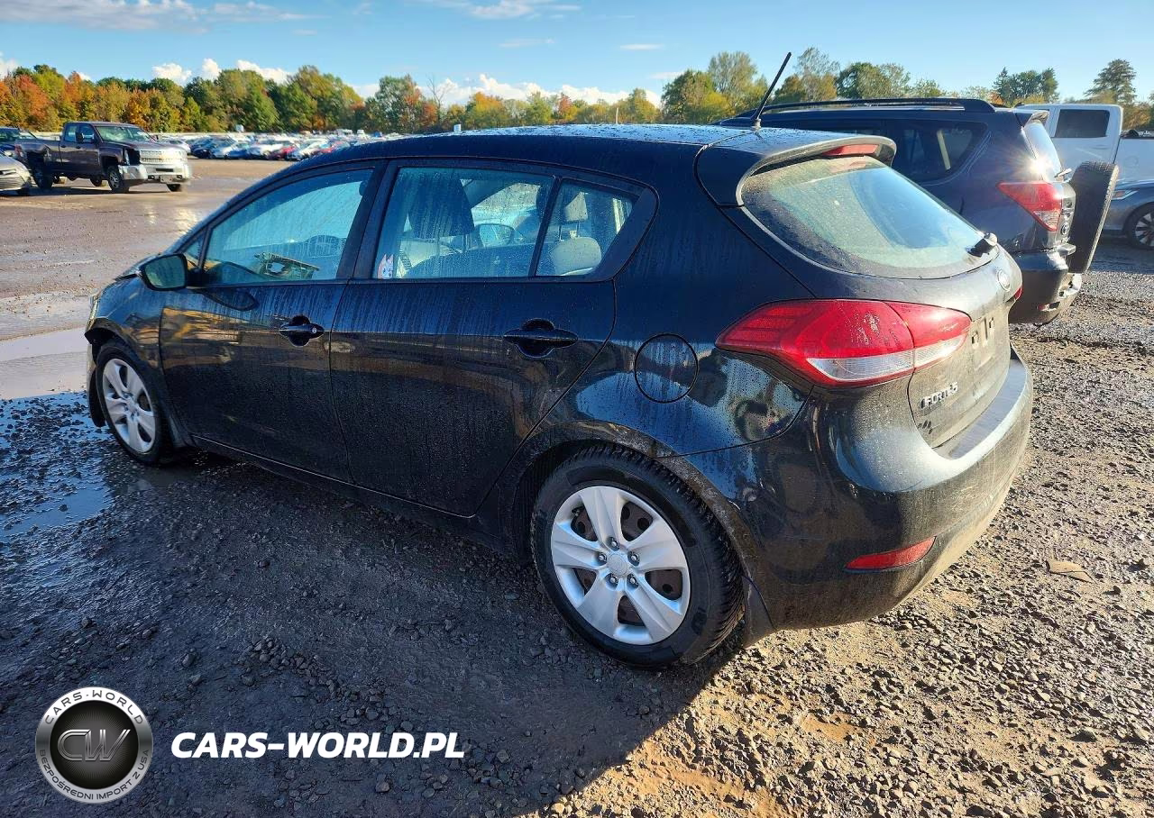 2016 Kia Forte5 Lx VIN:KNAFK5A84G5581910 - 2