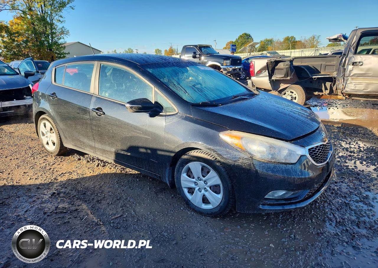 2016 Kia Forte5 Lx VIN:KNAFK5A84G5581910 - 4