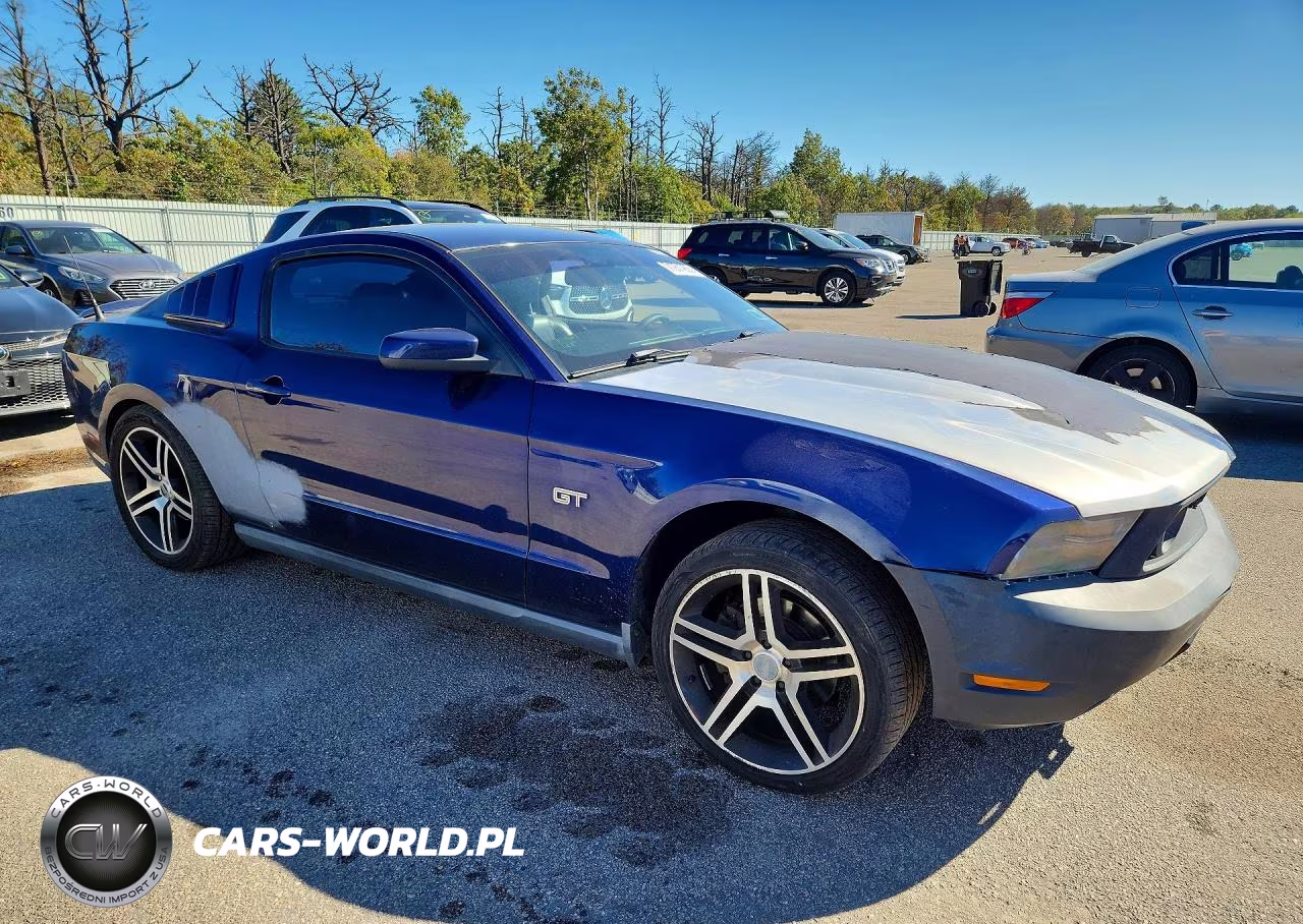2010 Ford Mustang Gt VIN:1ZVBP8CH0A5153516 - 4