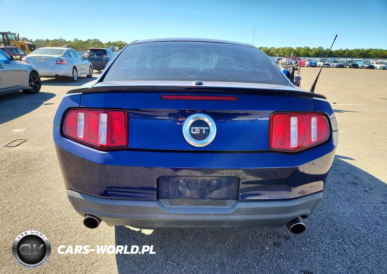 2010 Ford Mustang Gt VIN:1ZVBP8CH0A5153516 - 6