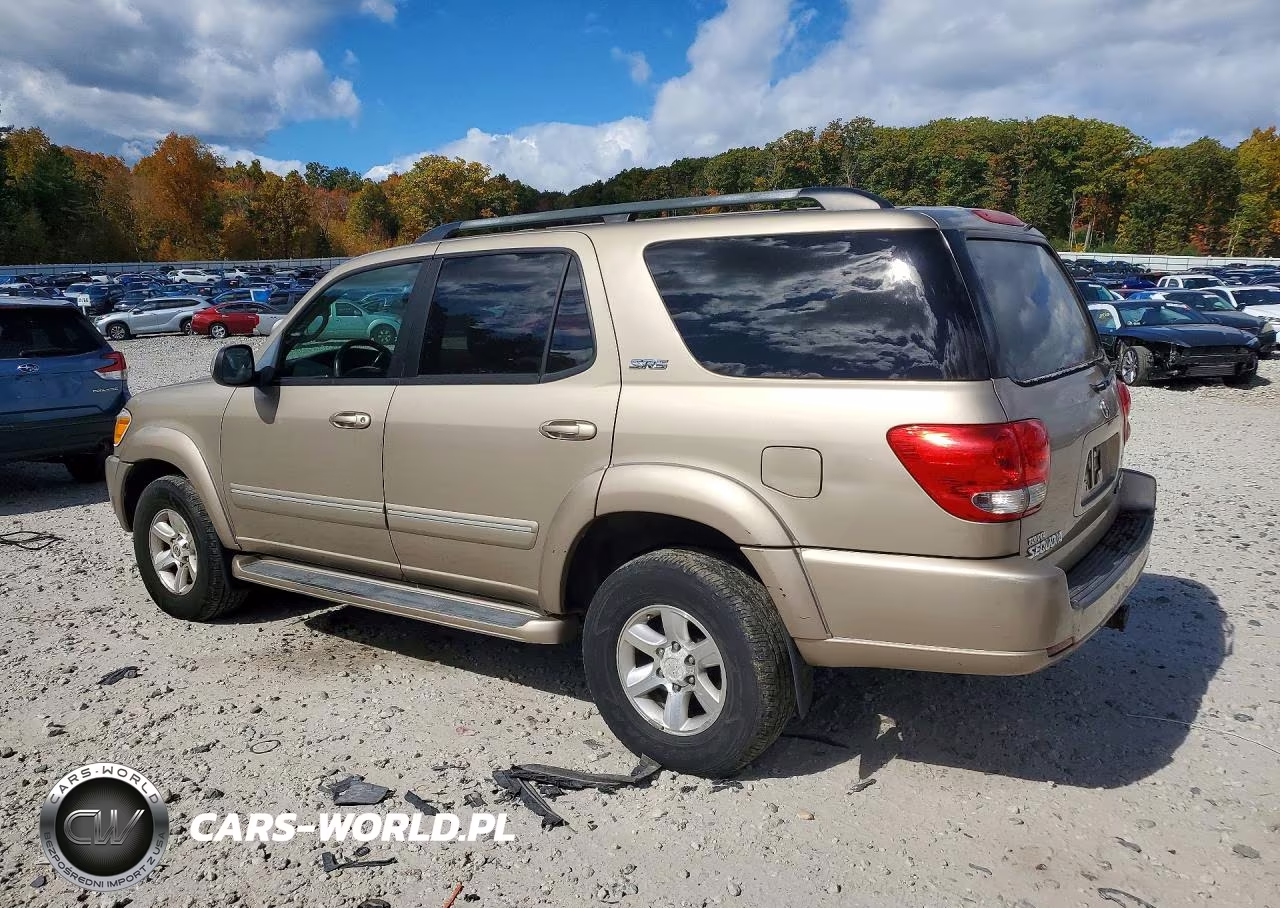 2005 Toyota Sequoia Sr5 VIN:5TDBT44A55S254222 - 2