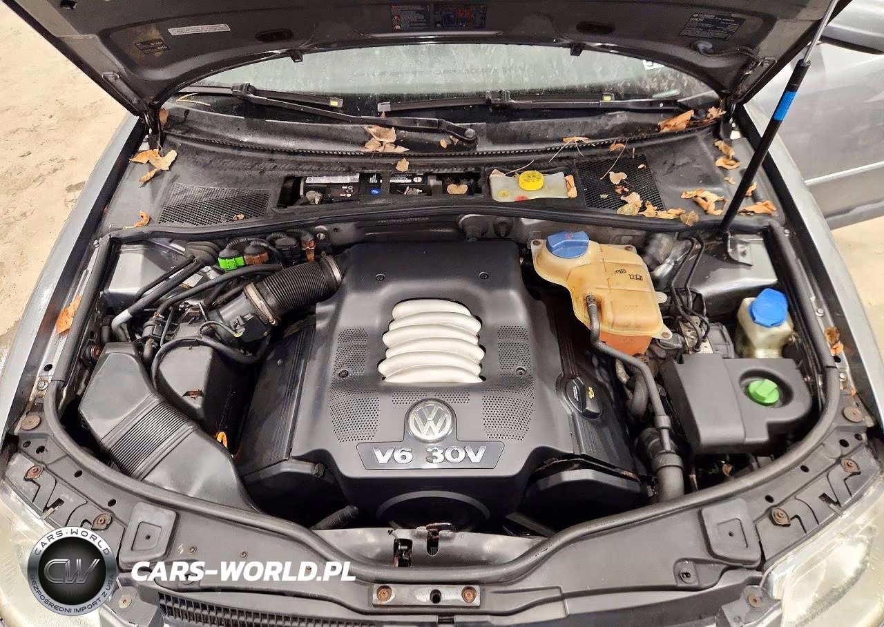 2004 Volkswagen Passat Glx 4Motion VIN:WVWYH63B24E130804 - 12