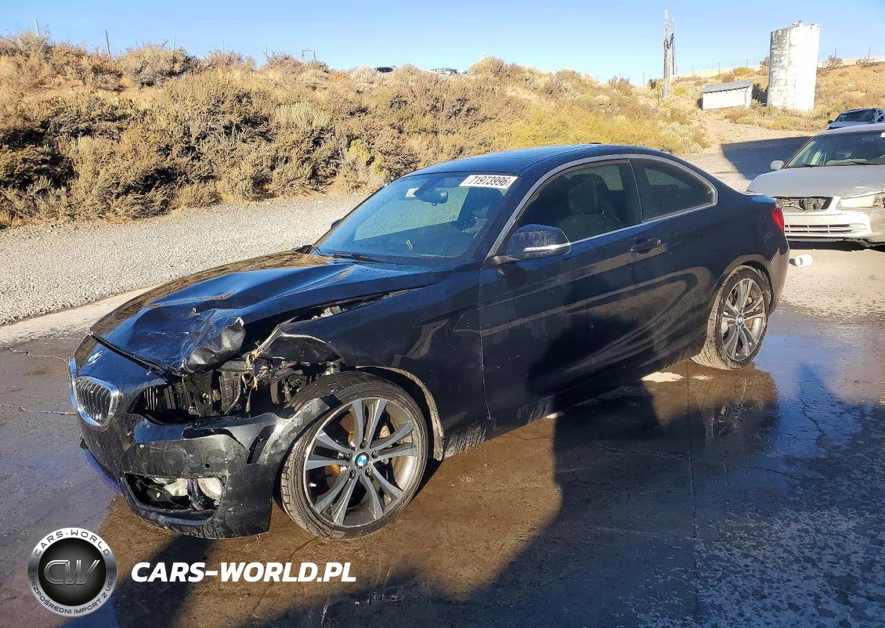 2014 BMW 228 I VIN:WBA1F5C59EV255650 - 1