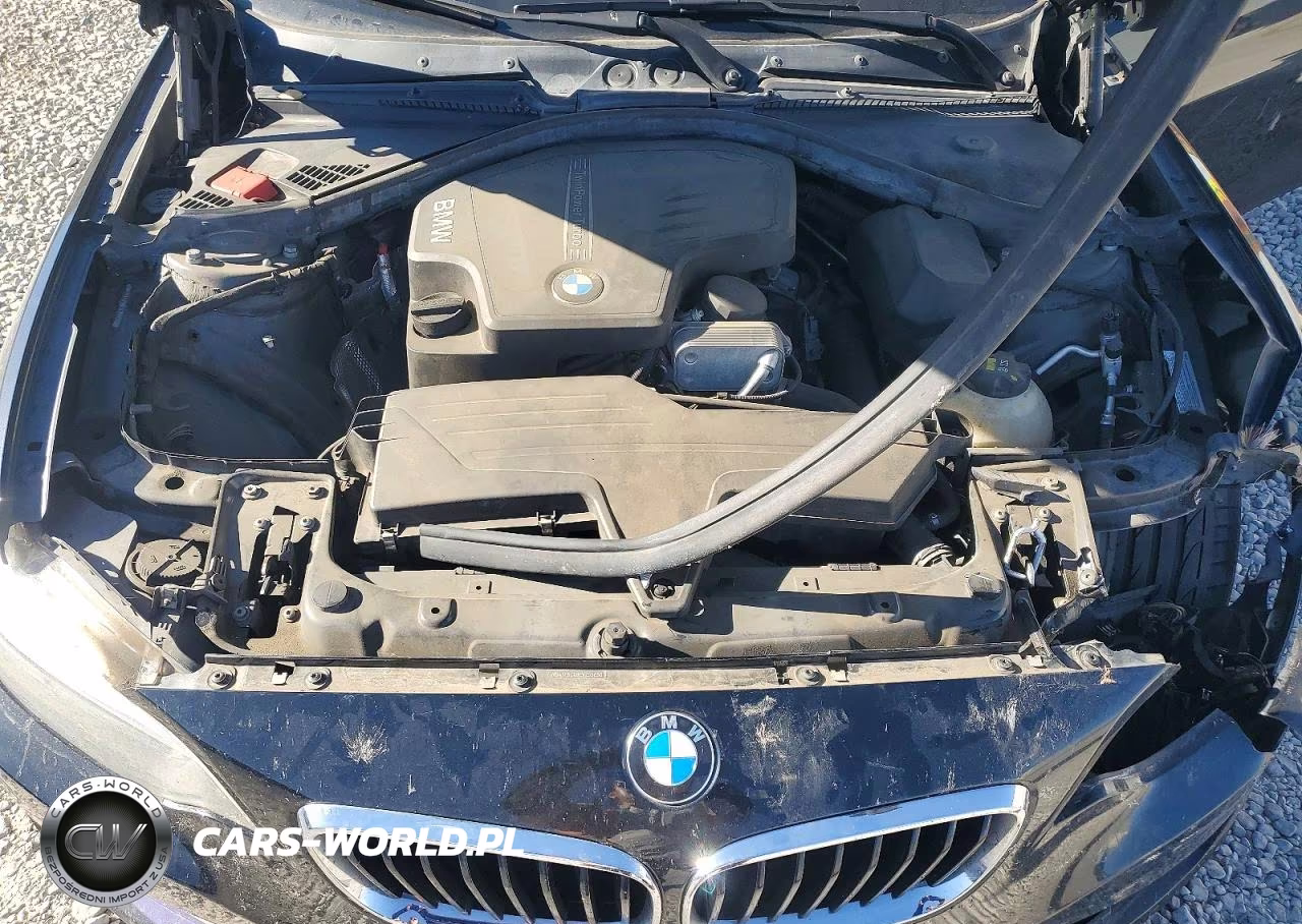 2014 BMW 228 I VIN:WBA1F5C59EV255650 - 11