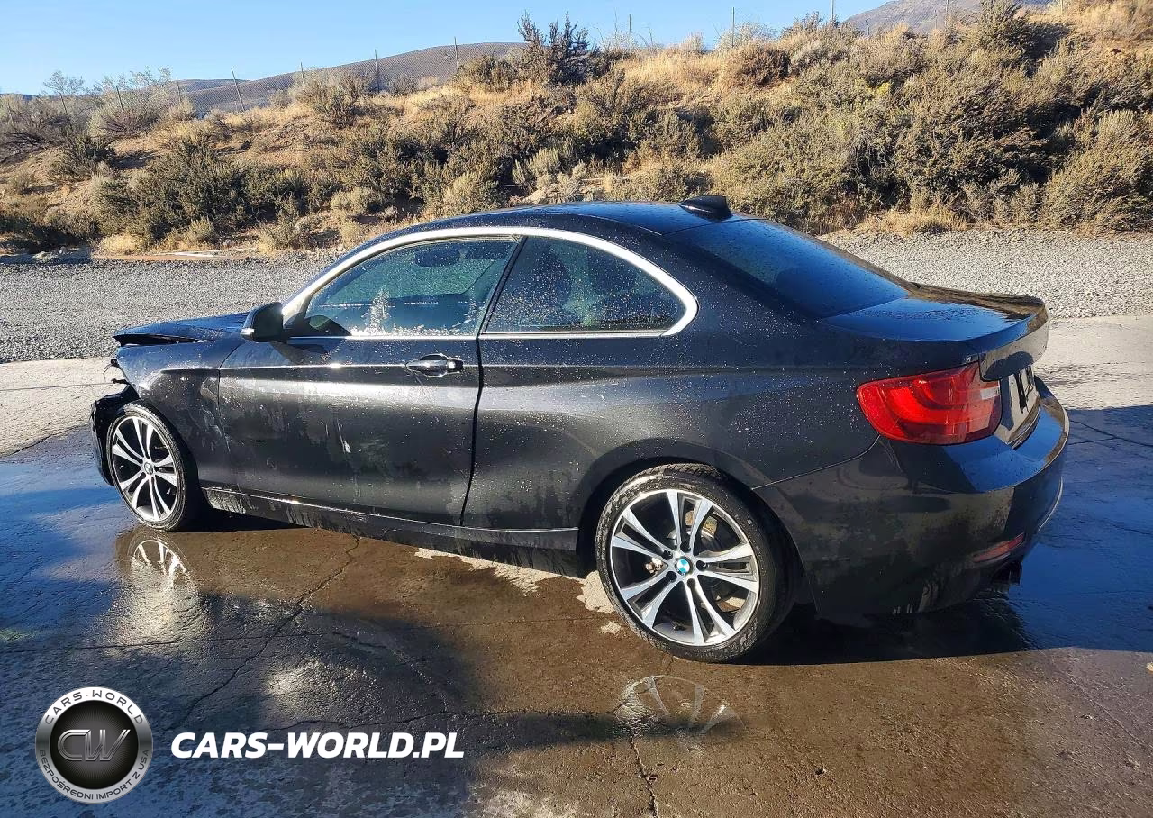 2014 BMW 228 I VIN:WBA1F5C59EV255650 - 2