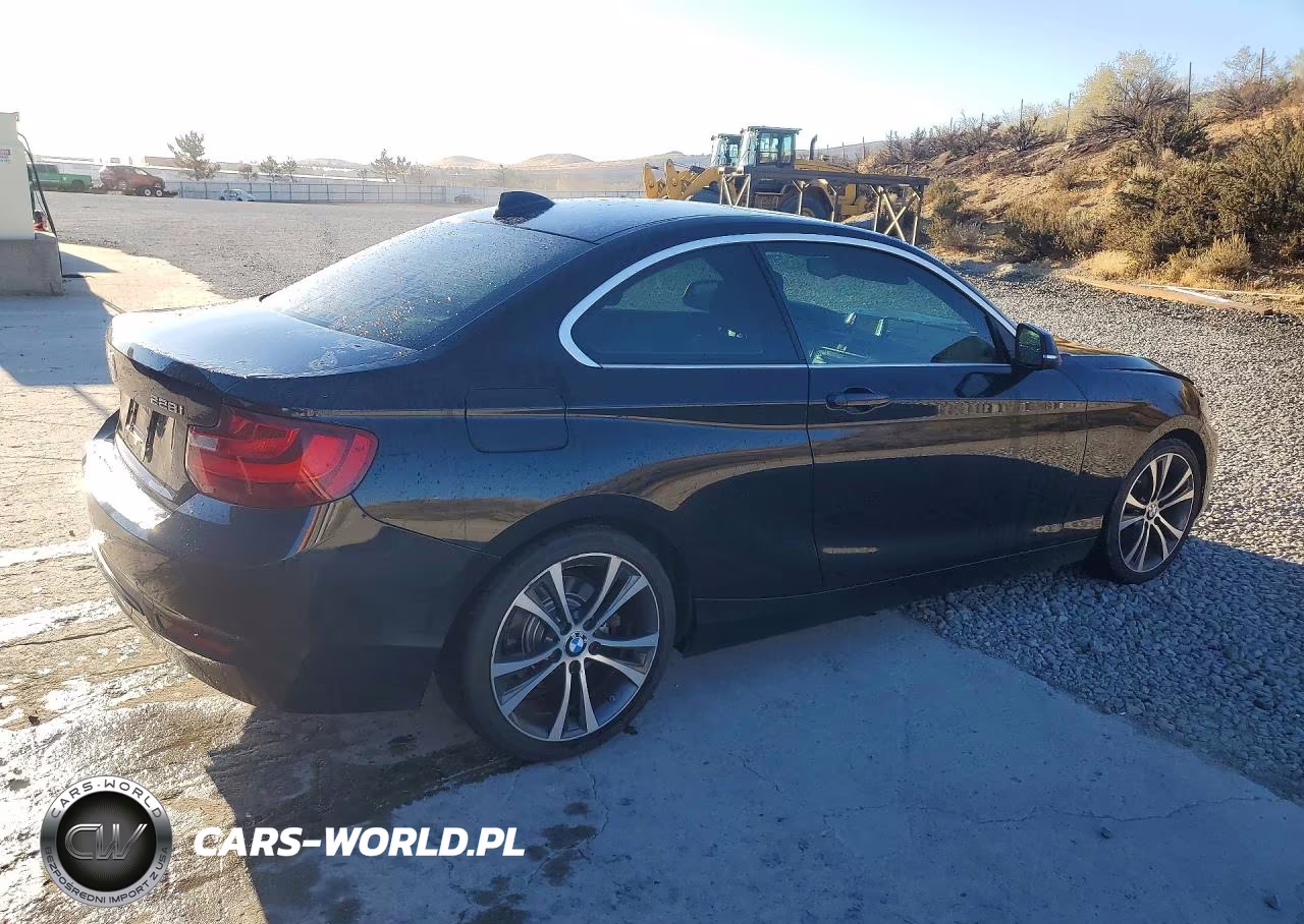 2014 BMW 228 I VIN:WBA1F5C59EV255650 - 3