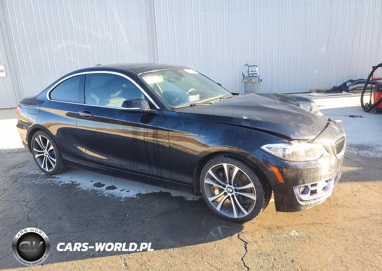 2014 BMW 228 I VIN:WBA1F5C59EV255650 - 4