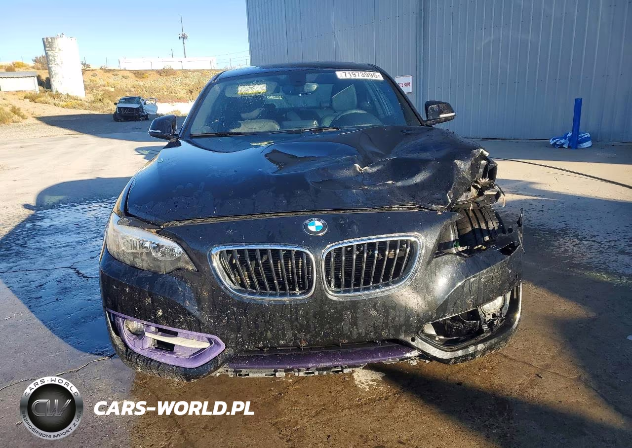2014 BMW 228 I VIN:WBA1F5C59EV255650 - 5