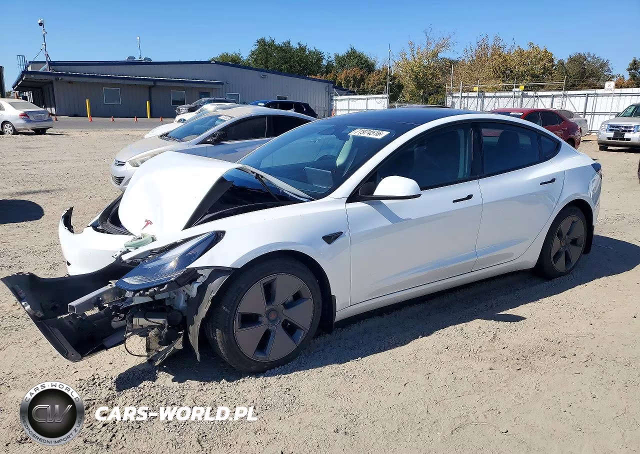 2023 Tesla Model 3 VIN:5YJ3E1EA7PF501033 - 1