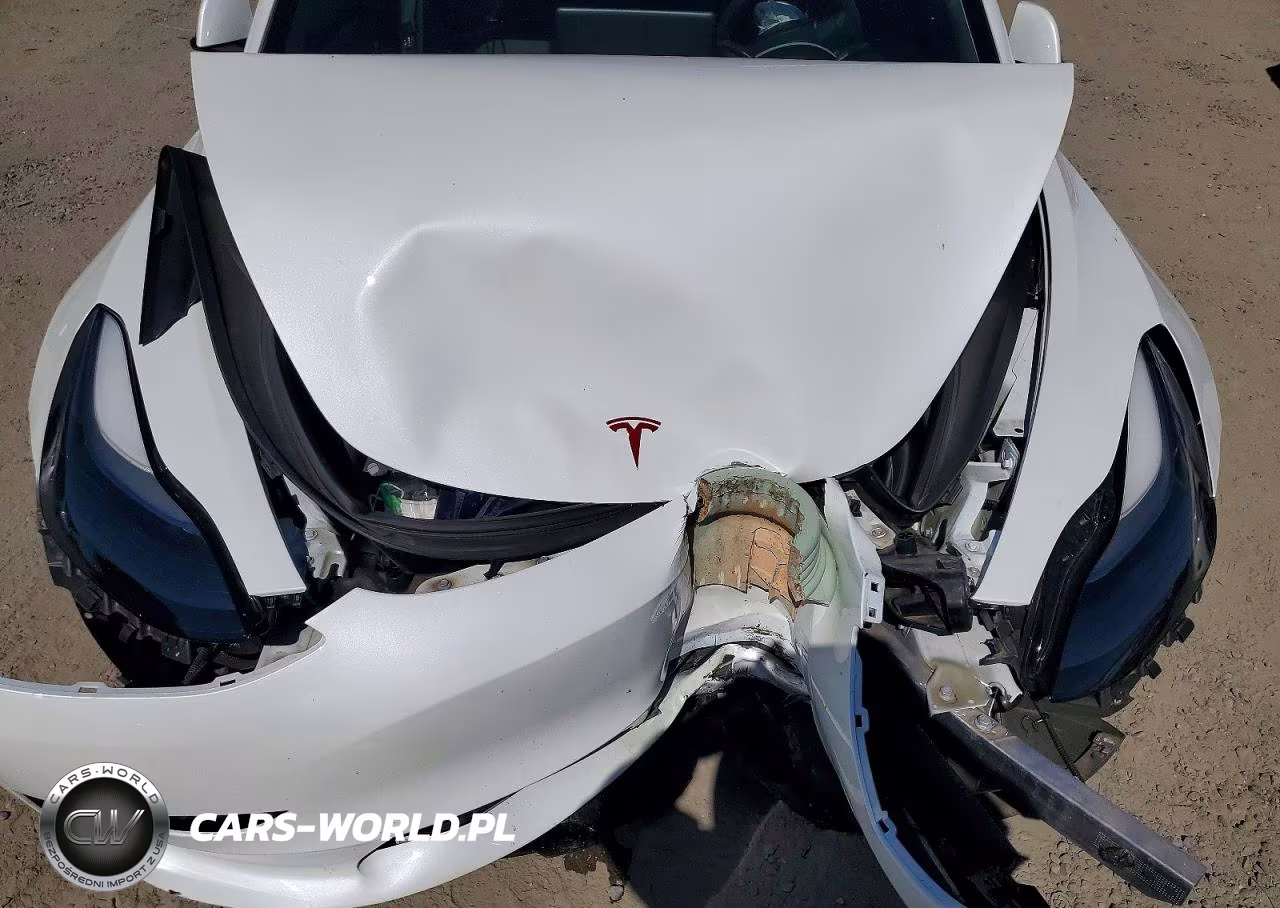2023 Tesla Model 3 VIN:5YJ3E1EA7PF501033 - 11