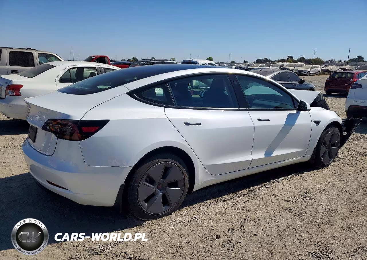 2023 Tesla Model 3 VIN:5YJ3E1EA7PF501033 - 3
