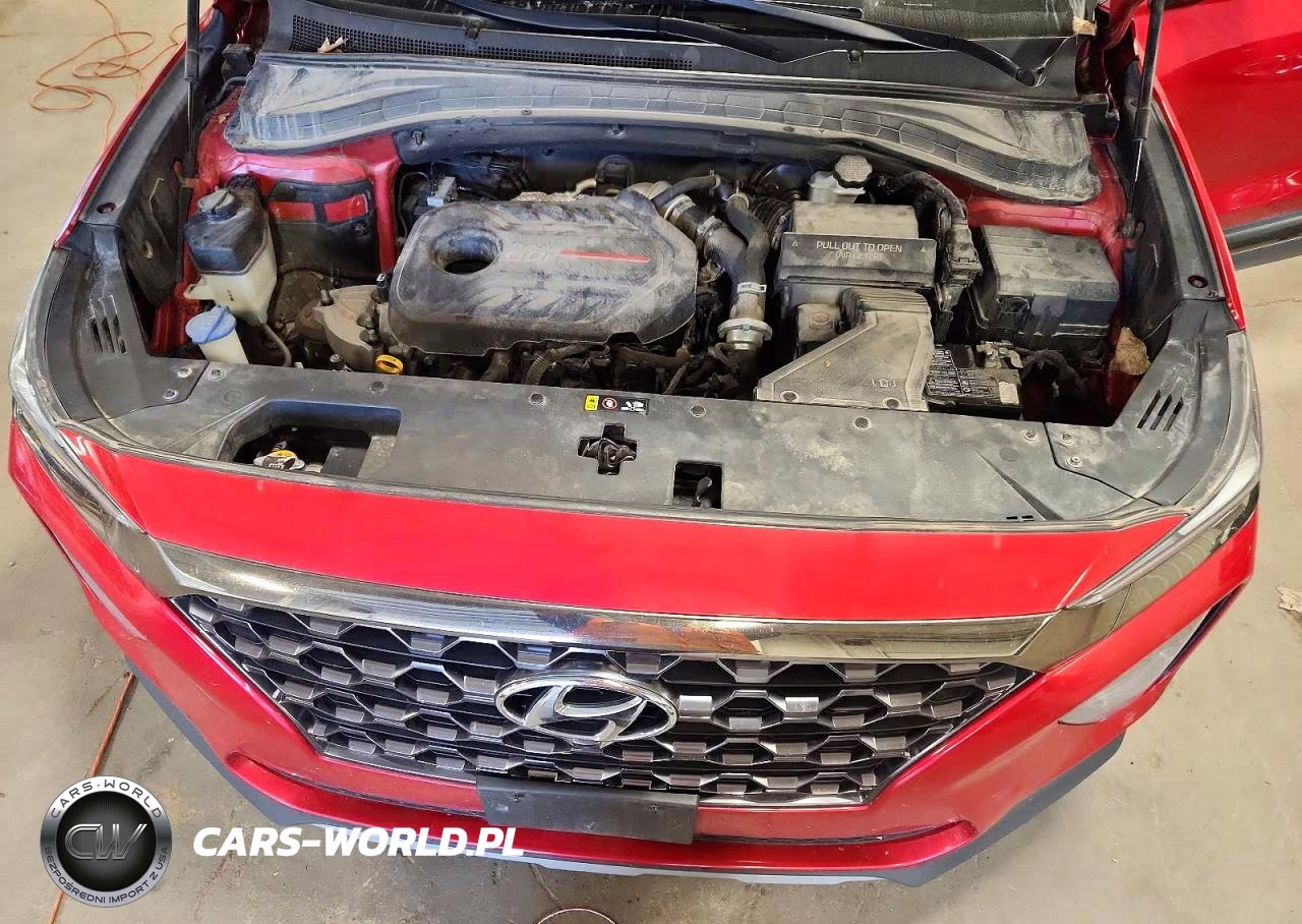 2020 Hyundai Santa Fe Limited 2.0T VIN:5NMS5CAA7LH291815 - 12