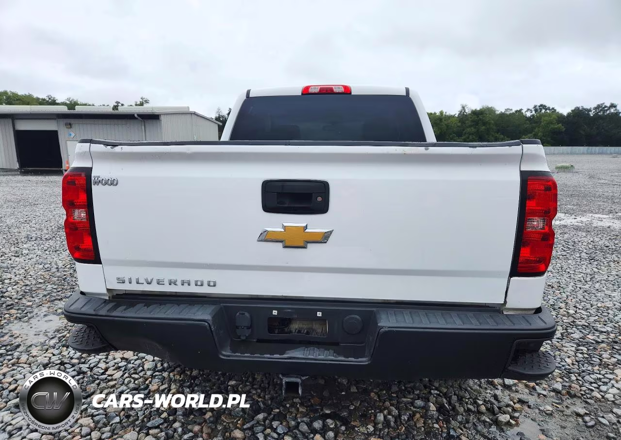 2018 Chevrolet Silverado K1500 VIN:3GCUKNEC8JG336083 - 6