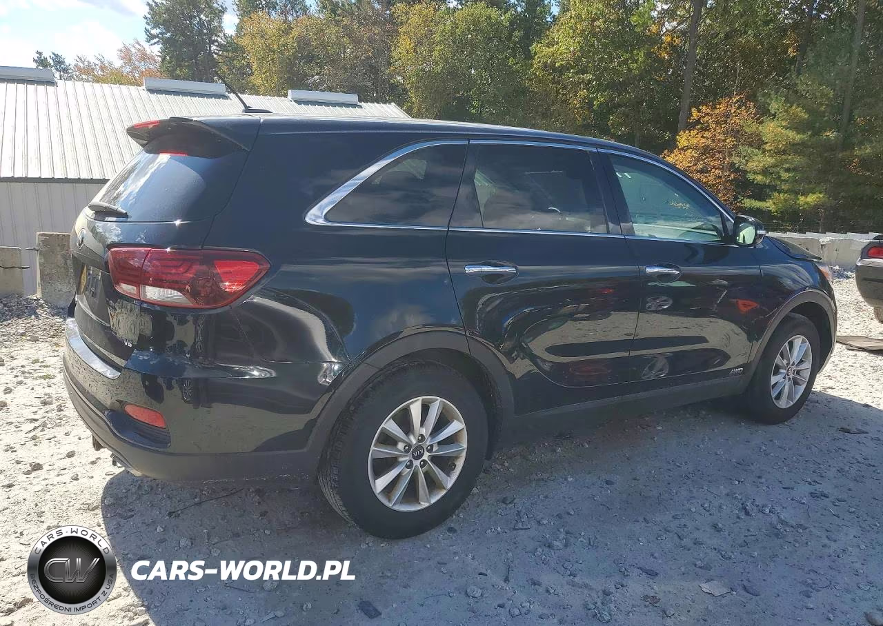 2019 Kia Sorento Lx V6 VIN:5XYPGDA58KG522366 - 3
