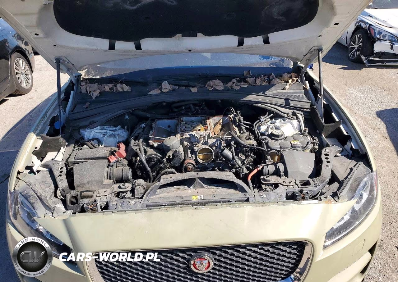 2017 Jaguar F-Pace Premium VIN:SADCJ2BV7HA495208 - 12